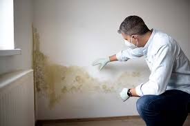 Best HVAC Mold Inspection and Cleaning  in Moon Lake, FL